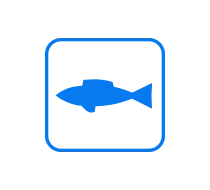 Saber cuándo van a picar: El reloj muestra un símbolo de pez cuando es el momento perfecto para pescar